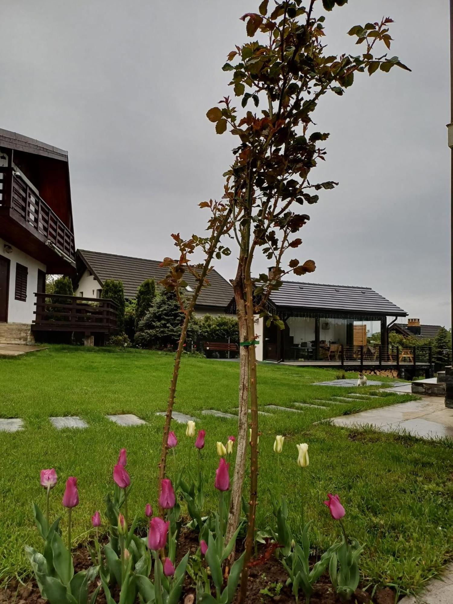Dragomirna Sunset Hotel Mitocu Dragomirnei ภายนอก รูปภาพ